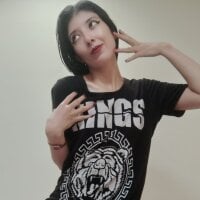 _Arlequin_ webcam model