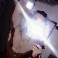 The-Arabian-Cock webcam