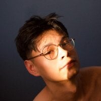 Heliero webcam model