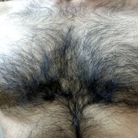 hard___cock model avatar