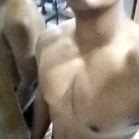 Ms33CA webcam