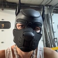 the_masked_pup webcam