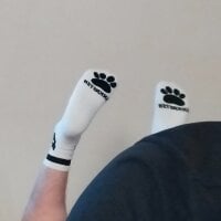 AlphaMax34 webcam