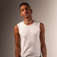 JulienSaint webcam