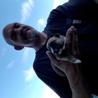 Shaggyybonez777's Offline Chat Room