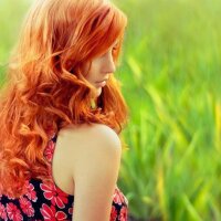 MarineBiecen Offline chat-huone