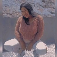 liZ9060 webcam