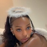 BLACKTRANS_ZA webcam