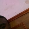 thehodguy