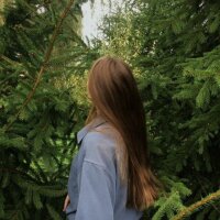 Sunshine_3331