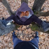 SexualTherapy 离线聊天室