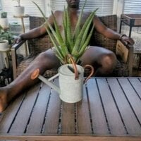 LotusNZZ Ruang Obrolan Offline