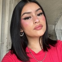 arye_lle webcam model
