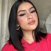 arye_lle