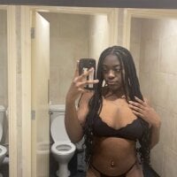 bry8661 webcam model