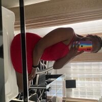 ห้องแชทออฟไลน์ของ StormyStallion