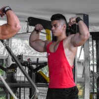 Dylanbigcock20cm