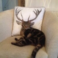 Аватар tatarin1960s