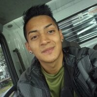 THEOCAMS_VC webcam