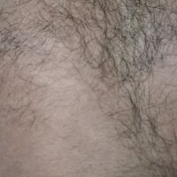 knightrider00067 webcam