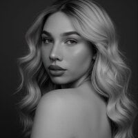 Модель Bellash_Figueredo