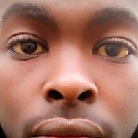 mrdogg55's Offline Chat Room