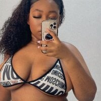 Genesisrayden webcam model