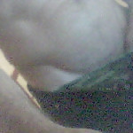 beachtone offline chatrum