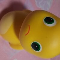 Ảnh Đại Diện Tigeraries_008