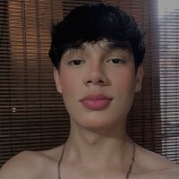 Karim-Clark webcam model