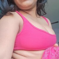 Winter11_ webcam model