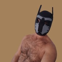 sumisodaddybear model avatar