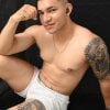 venedic_bull