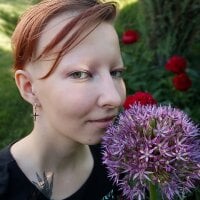 Offline chatovací místnost PoliVeber