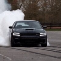 KNIGHT__Tim Immagine Avatar