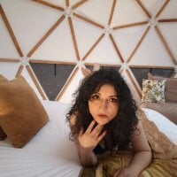 arianna_ros3 webcam model
