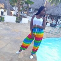 Sala de chat offline de chessydiva