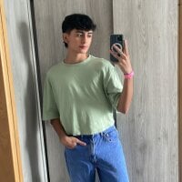 arnold_laurent_ webcam
