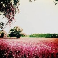 Image d’avatar de nicolesarah