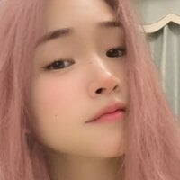 Star-33 webcam model