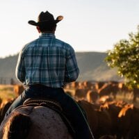 cowboy_420k Poză avatar