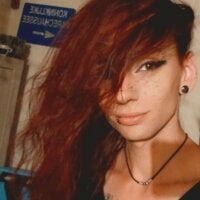 VulpNovit webcam