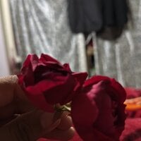 Akkibhawna21 webcam