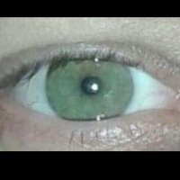 Sala de chat offline de contagious99