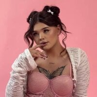 EvaaLane webcam model