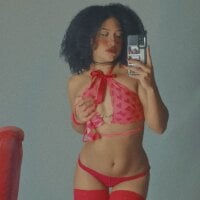 brown_muller webcam model