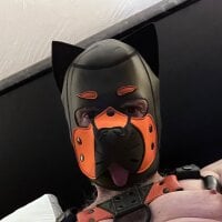 SubPupZion