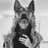 صورة أفاتار MastaWolfy