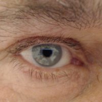 Sokrates3's Profile Photo