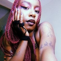 S_inner webcam model